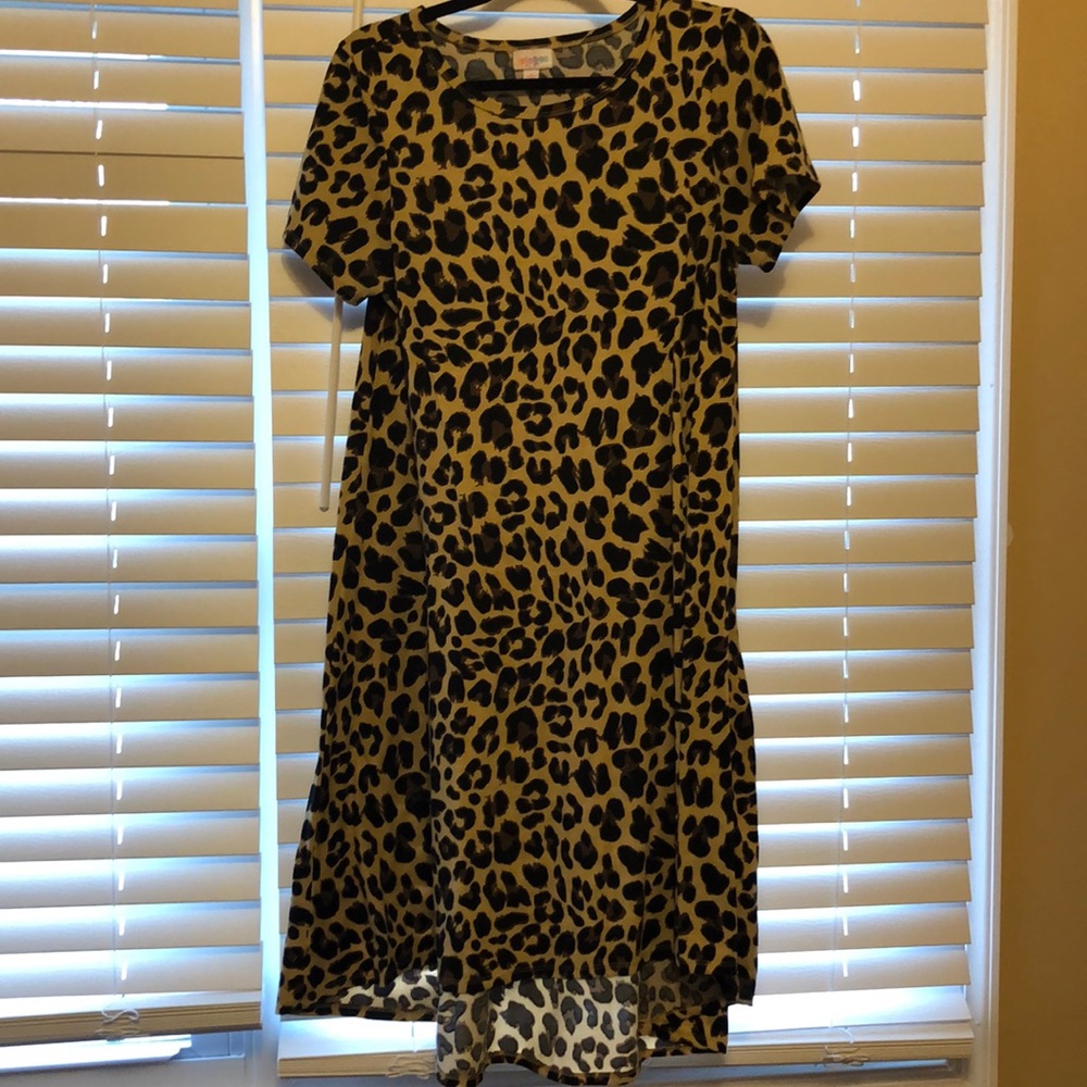 LulaRoe Carly Dress